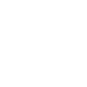 Flavor Insights