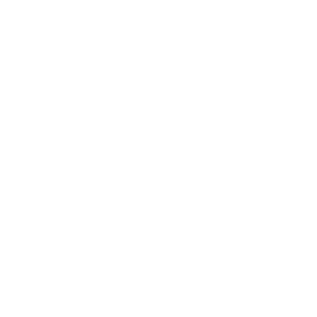Seattle Majestics